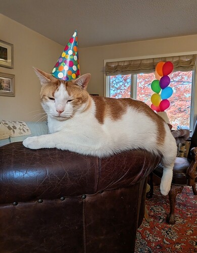 17647448541547473931378232183407