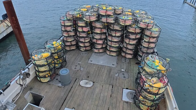 5d688efc6f5f708309f39610d953d376_-1.0_1763173147670