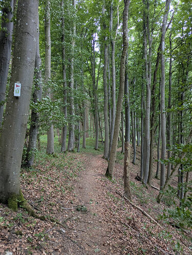 PXL_20260708_070820690