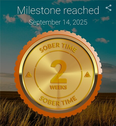 Screenshot_20250914_171258_Sober Time
