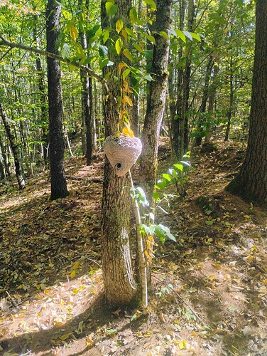 IMG_20250822_145239506_HDR_AE