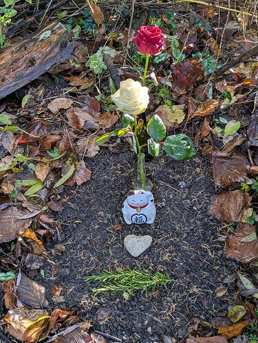 PXL_20251125_112629361