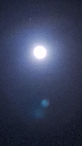 IMG-20240124-WA0004