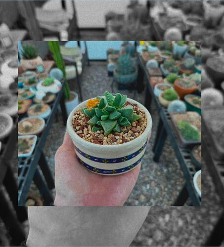 Screenshot_20260220_221727_Instagram