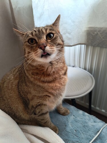 IMG_20250610_100437000