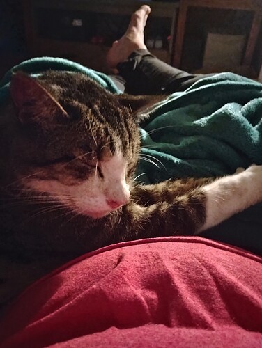 IMG_20250805_195126784