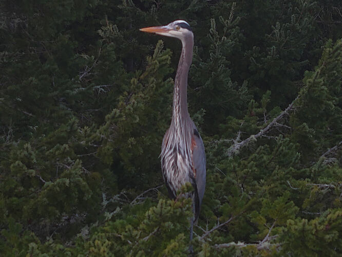 DJI_20260307165724_0428_D