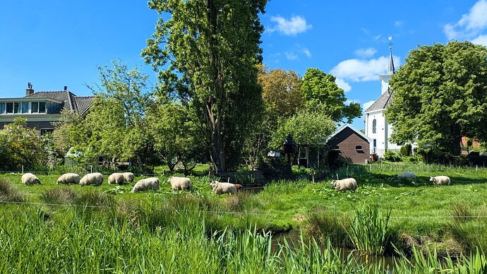 PXL_20250503_095346909 (1)