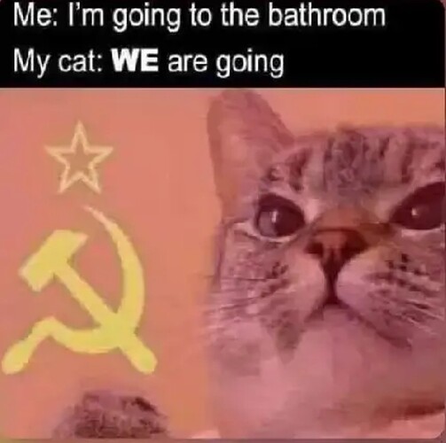 Screenshot_20260218_072352_YouTube