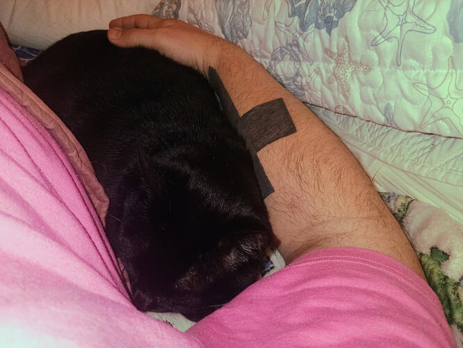 IMG_20260301_204102349_AE