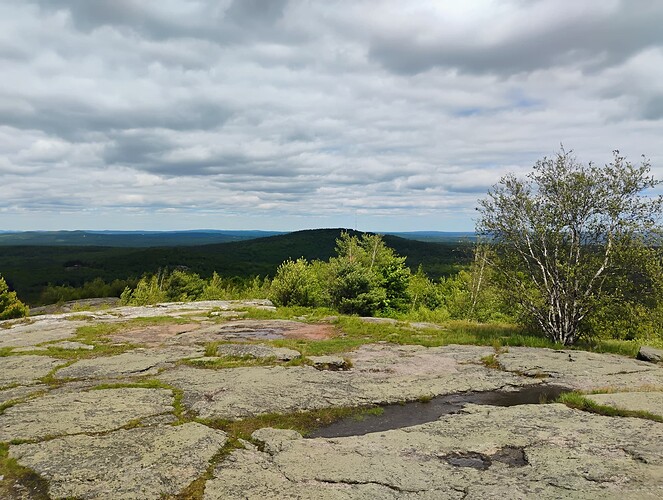 IMG_20250601_142041987_AE