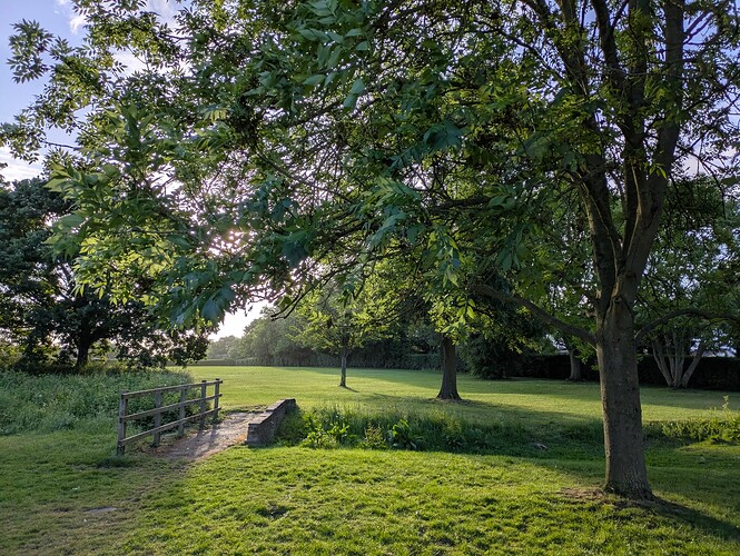 PXL_20250528_053834835.MP