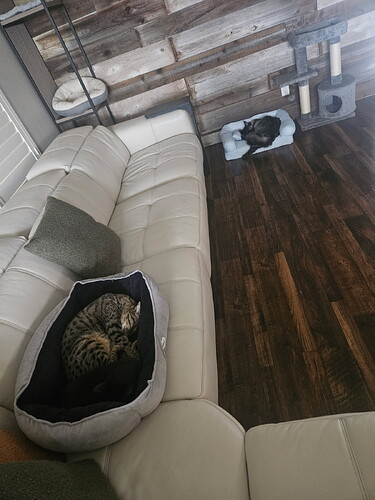 IMG_20260217_112637_Original