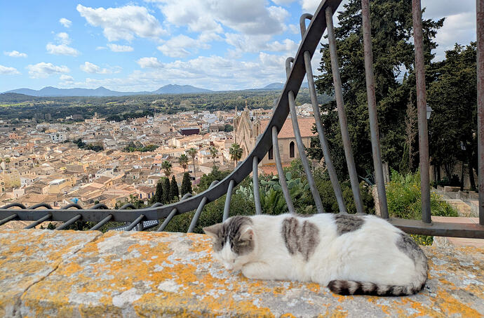 PXL_20260312_103355761~2