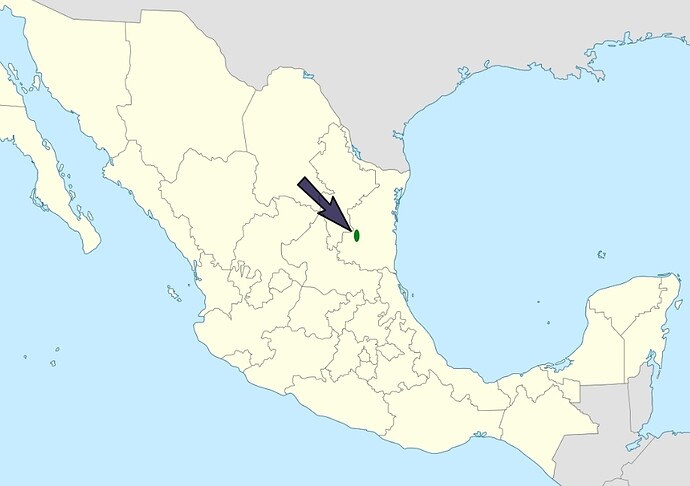 Screenshot_20260807_151534_Wikipedia