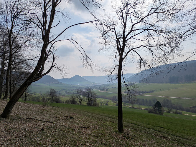 PXL_20260321_101000404