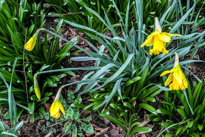 PXL_20260223_104555913~2