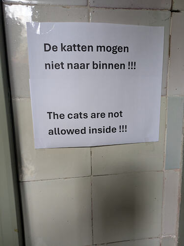 PXL_20260131_094009410