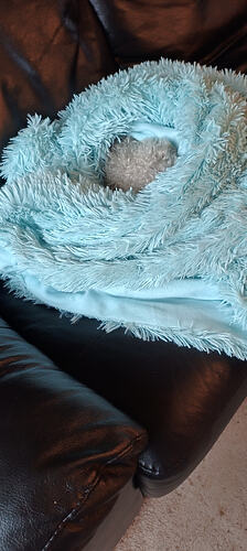 IMG_20260125_145911324_HDR