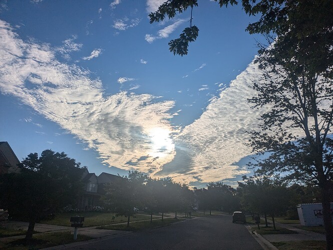 PXL_20240704_113939313