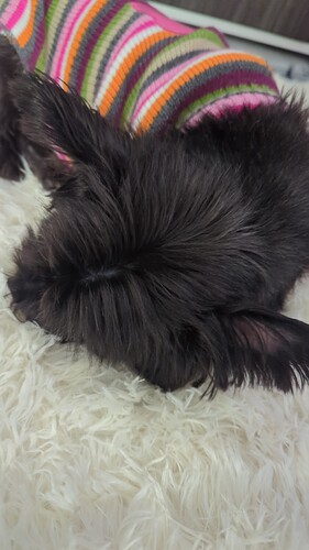 IMG-20240208-WA0003