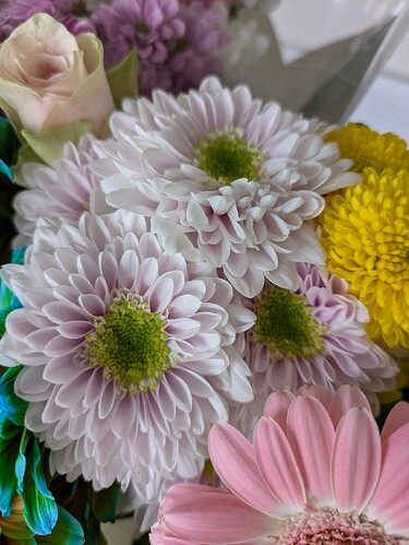 PXL_20250524_083622897