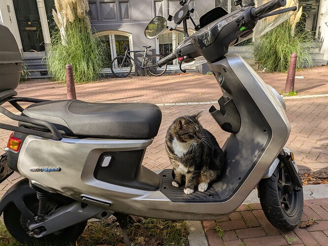 PXL_20250928_135427261