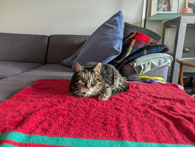 signal-2025-07-21-064144_002