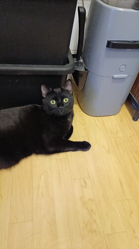 IMG_20250125_105750_376