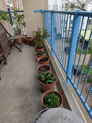 PXL_20260417_150734249