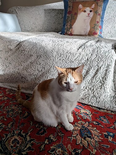 PXL_20260107_163438034