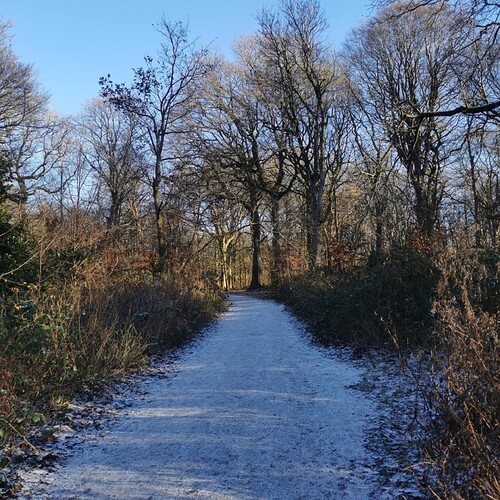 Messenger_creation_07A9523F-639C-4B25-AB4C-0CB7F6CCCBA6