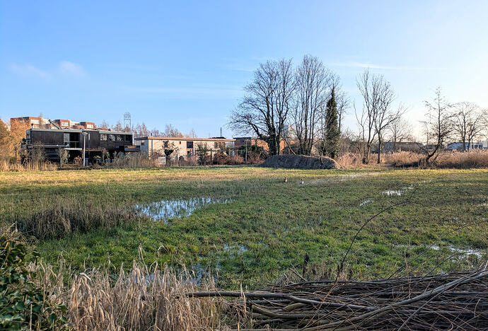 PXL_20260204_142846558