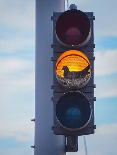 Tumblr_l_102356937510075