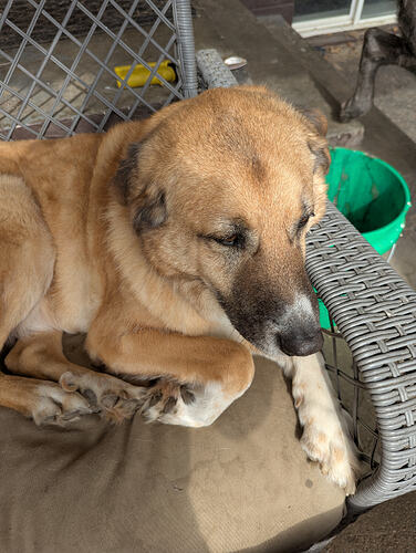 PXL_20260304_185537894