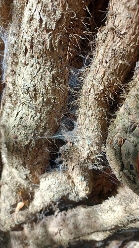 IMG_20250925_112506_532