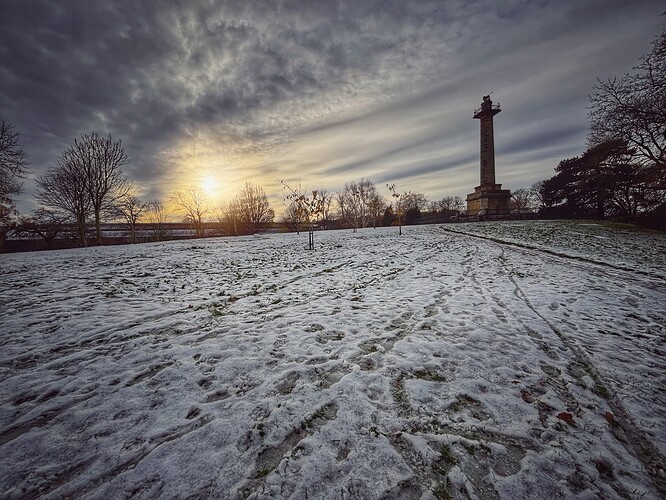 ld-export-029a8fb6-11212025