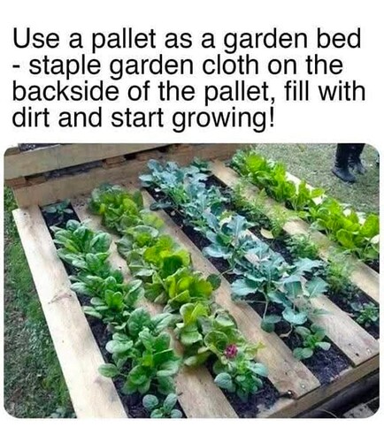 Screenshot_20250817-225532