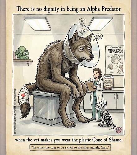 FB_IMG_1770236476974