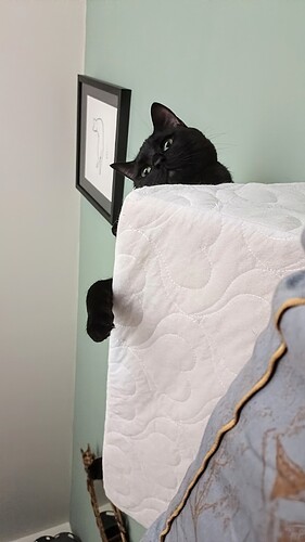 IMG_20250224_093804_223~2