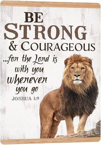 61k3pyZkckL.AC_UF894,1000_QL80