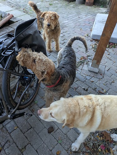 PXL_20251105_151220310