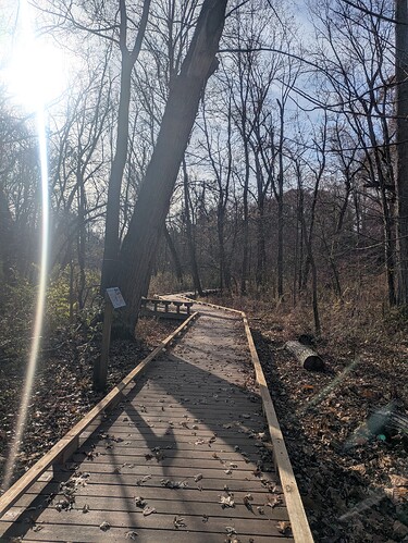 PXL_20251122_183328474