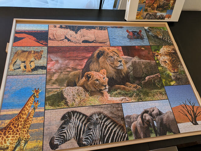 PXL_20260205_155219785