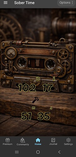 Screenshot_20260505_175136_Sober Time