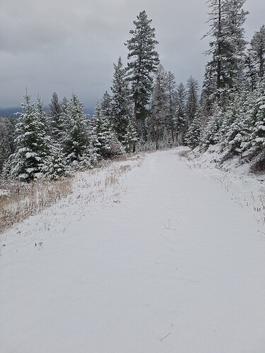 29452099-d234-4b7e-b3fb-8ec0eed9f1e7