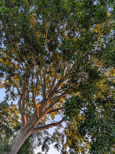 PXL_20250520_042737653