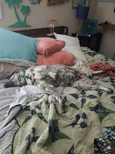 IMG_20260212_211527186_AE