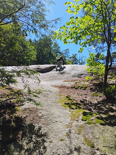 IMG_20250526_110256880_AE