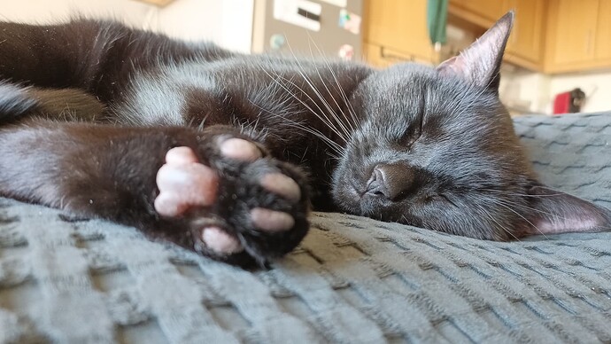 IMG_20250925_172901_733